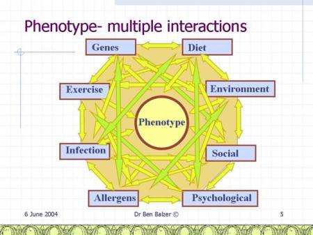 Phenotype Interactions